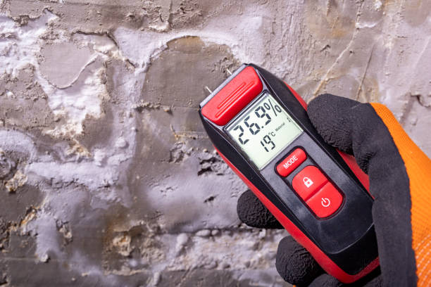Best Residential Mold Remediation in Marion, IN